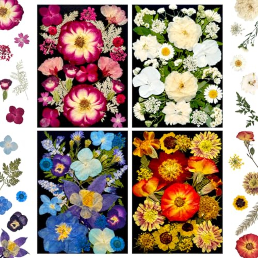 Pressed Dried Flowers for Resi - đánh giá và giá Art Craft With Leaves