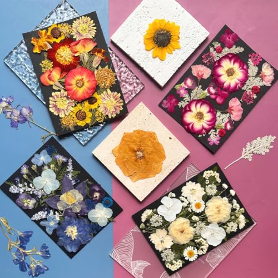 Pressed Dried Flowers for Resi - đánh giá và giá Art Craft With Leaves