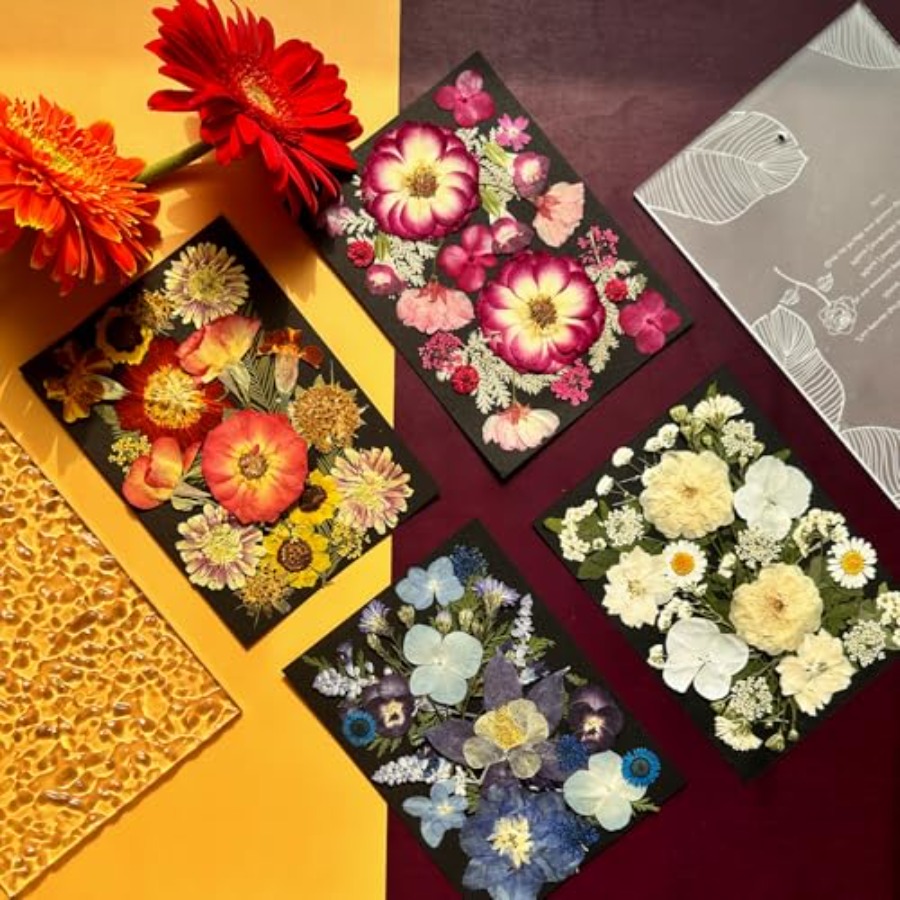 Pressed Dried Flowers for Resi - đánh giá và giá Art Craft With Leaves