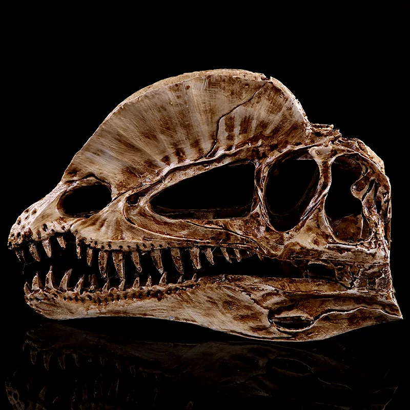 [MGT]Resin Craft Decoration Di - đánh giá và giá Dinosaur And Craft