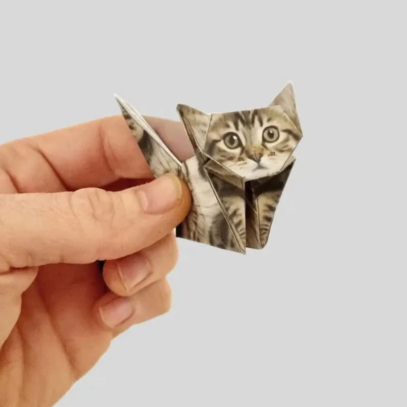 Creative DIY Origami Paper Set - đánh giá và giá Dinosaur And Craft