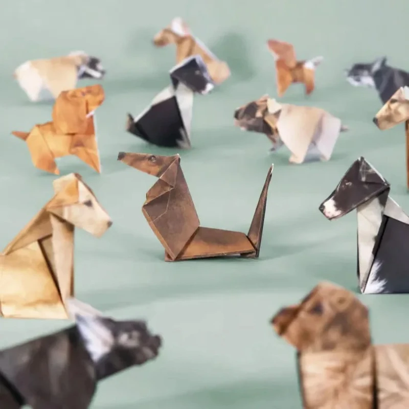 Creative DIY Origami Paper Set - đánh giá và giá Dinosaur And Craft