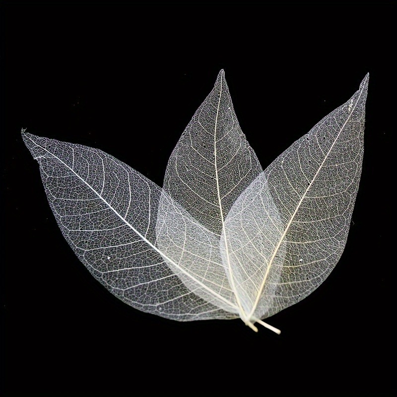 10pcs Art Deco Wooden Leaf Vei - đánh giá và giá Art Craft With Leaves