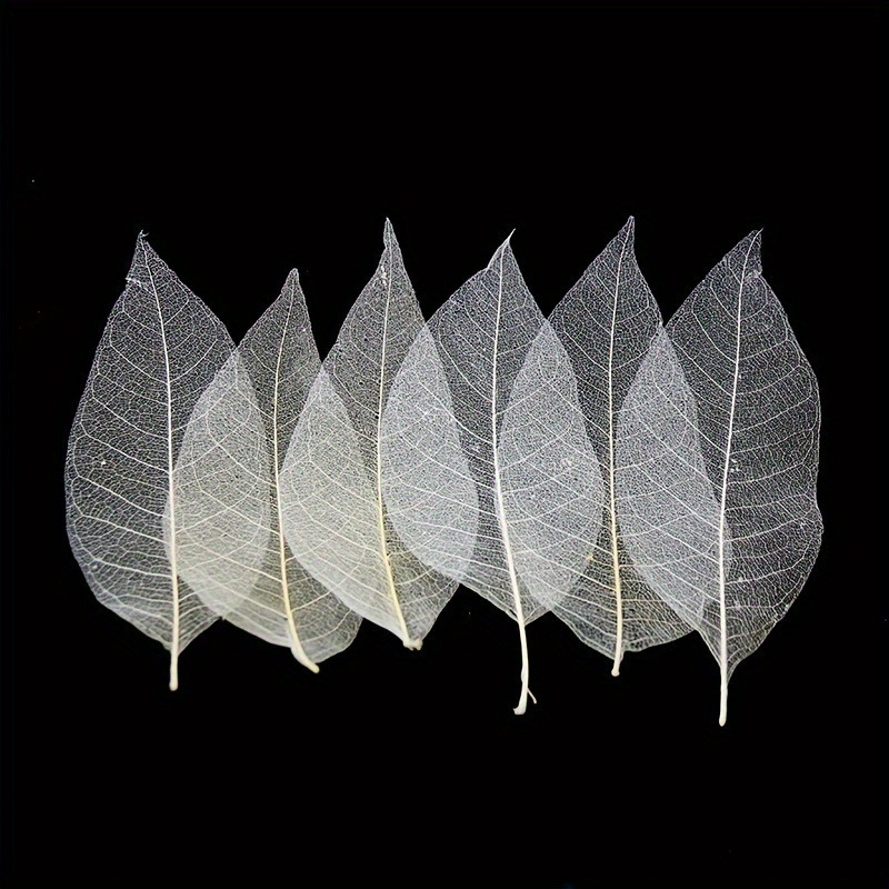 10pcs Art Deco Wooden Leaf Vei - đánh giá và giá Art Craft With Leaves