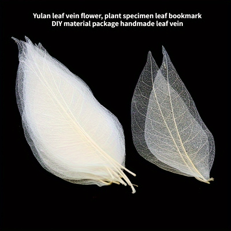 10pcs Art Deco Wooden Leaf Vei - đánh giá và giá Art Craft With Leaves