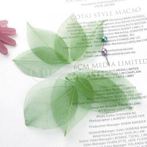 Natural Catbrier Skeleton Leav - đánh giá và giá Art Craft With Leaves