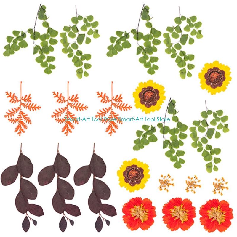 E1PB Natural Dry Flower Leaves - đánh giá và giá Art Craft With Leaves