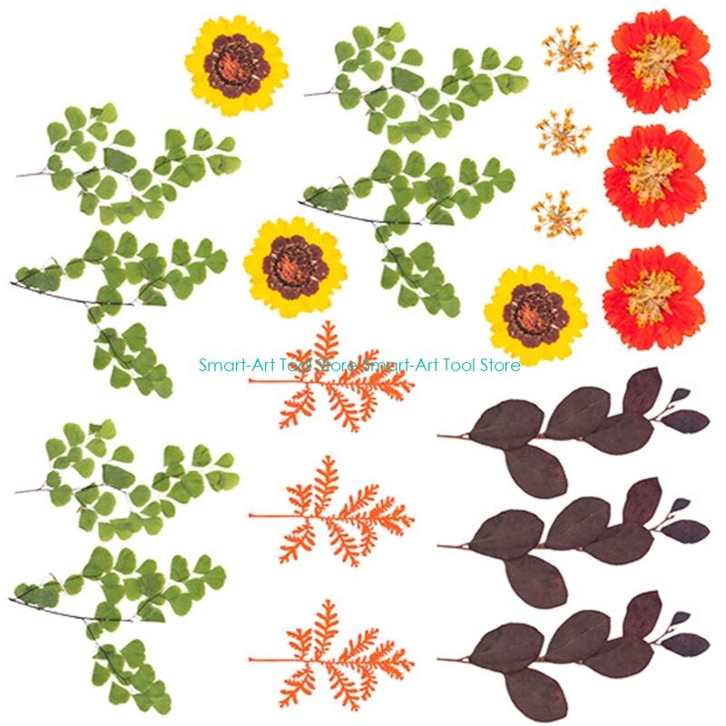 E1PB Natural Dry Flower Leaves - đánh giá và giá Art Craft With Leaves