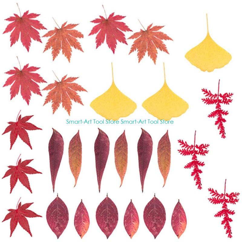 E1PB Natural Dry Flower Leaves - đánh giá và giá Art Craft With Leaves